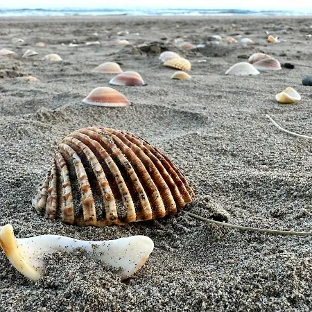 Appartement Indecent