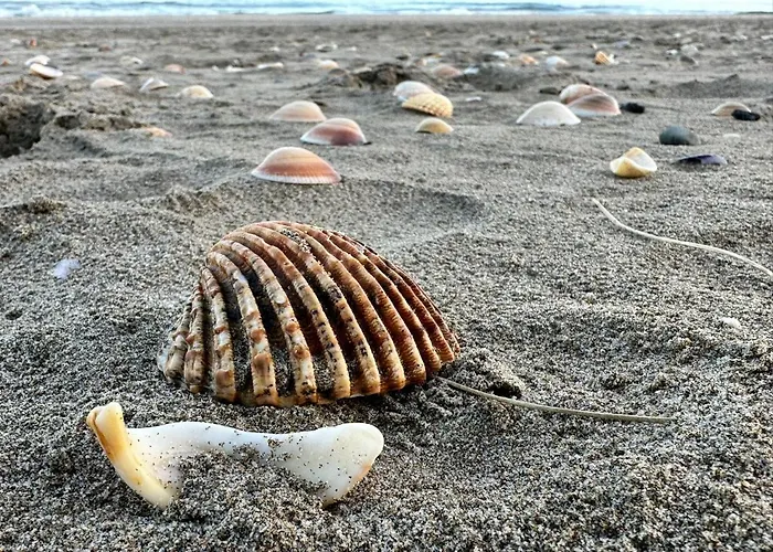 アパート Indecent